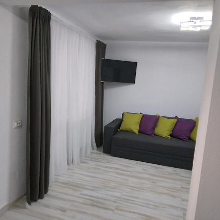Luxury Apartament Curtea de Argeş Buitenkant foto