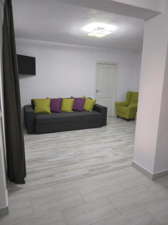 Luxury Apartament Curtea de Argeş Buitenkant foto