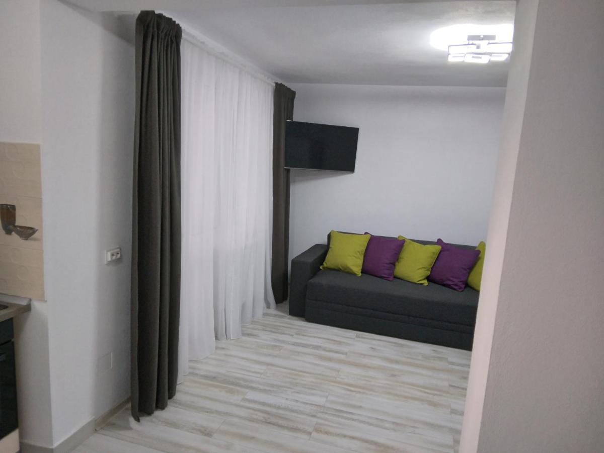 Luxury Apartament Curtea de Argeş Buitenkant foto