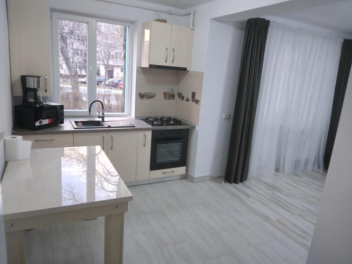 Luxury Apartament Curtea de Argeş Buitenkant foto