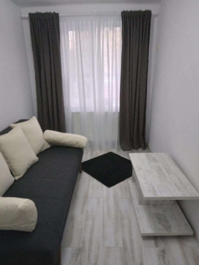 Luxury Apartament Curtea de Argeş Buitenkant foto