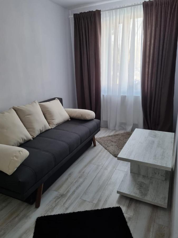 Luxury Apartament Curtea de Argeş Buitenkant foto
