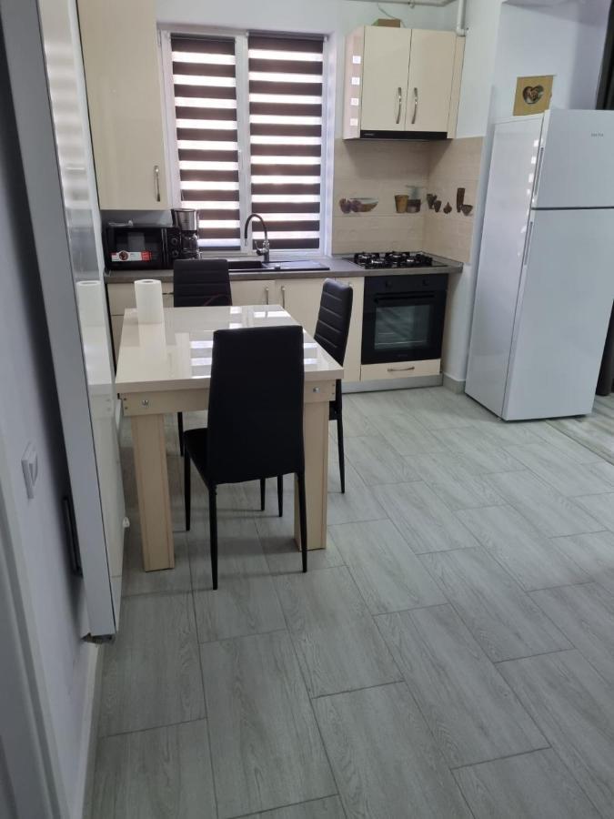 Luxury Apartament Curtea de Argeş Buitenkant foto